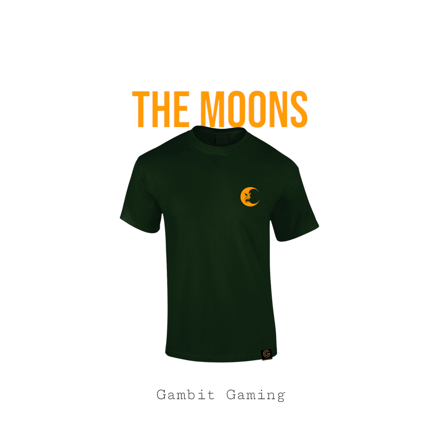 The Moons