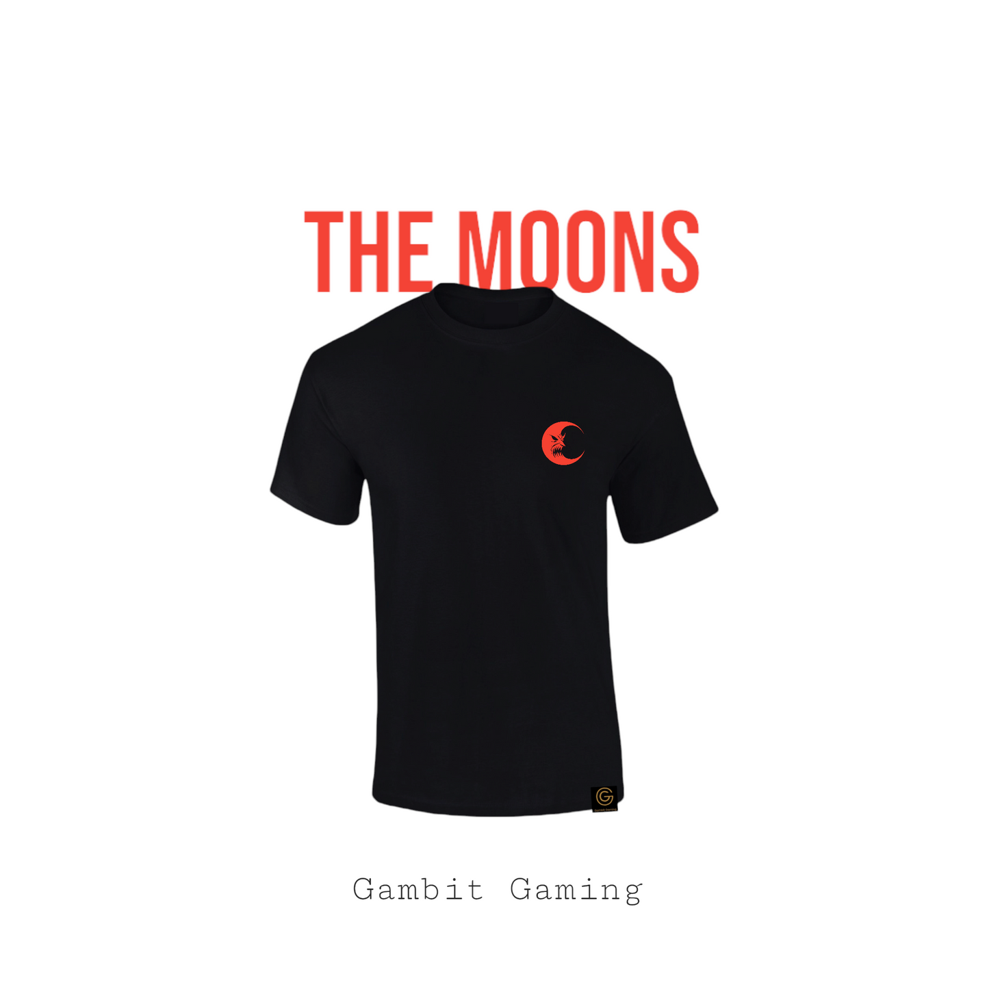 The Moons